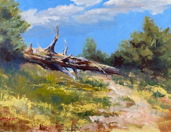 Obstacle or Opportunity 12x16 $800 at Hunter Wolff Gallery